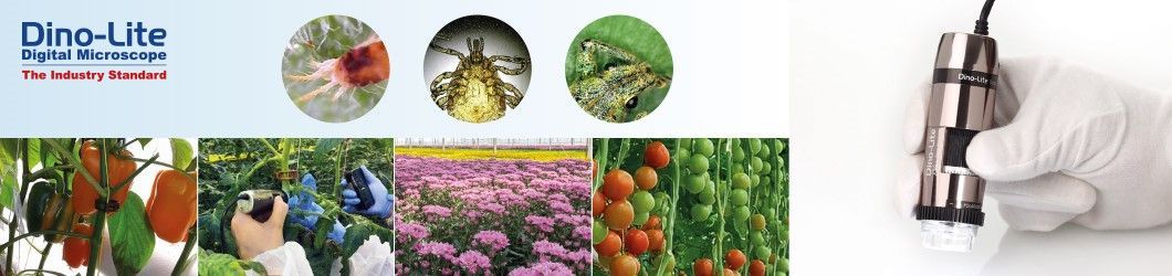 Dino Lite web banner pest control agriculture 1060x250