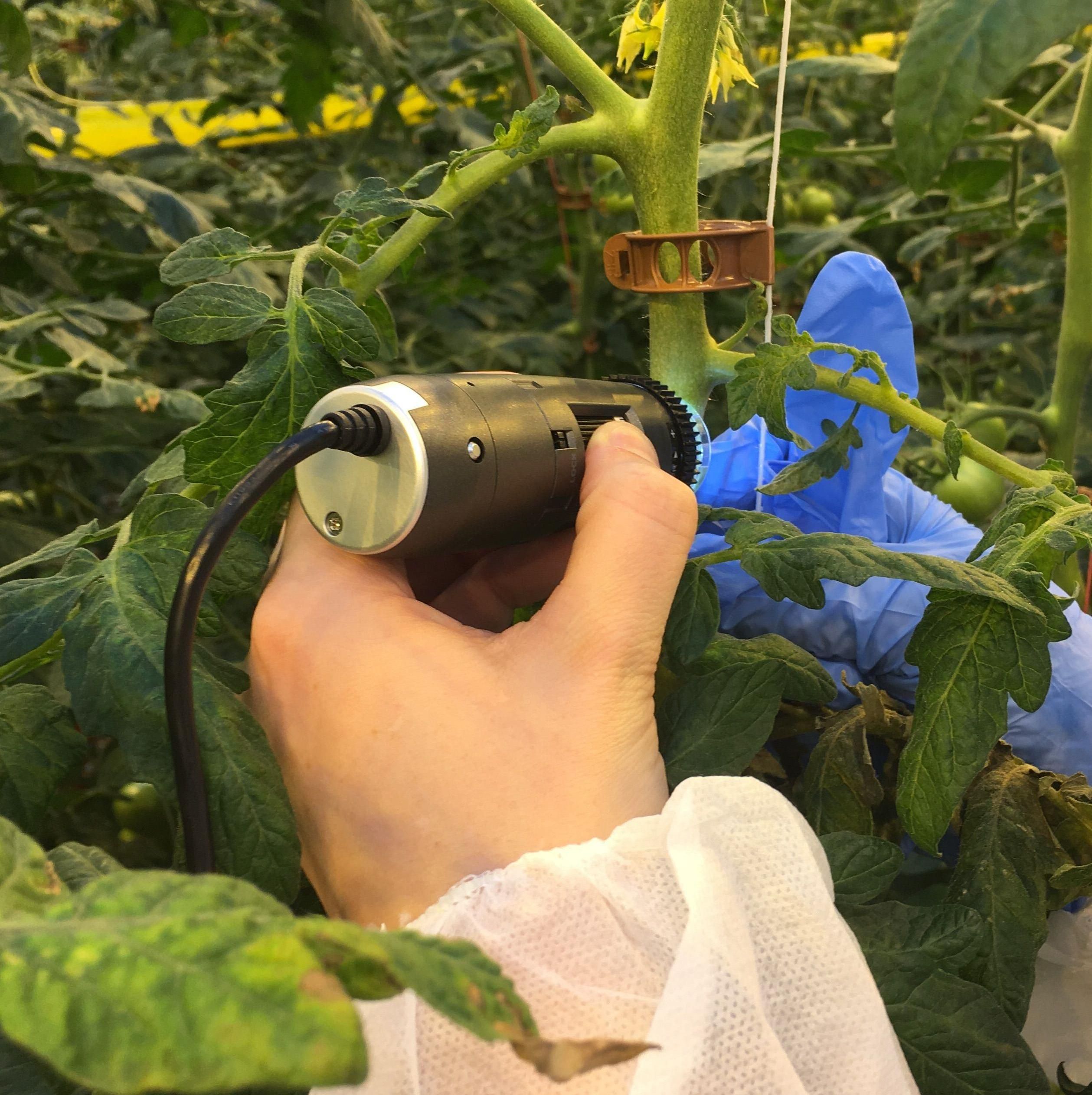 Dino-Lite in der Landwirtschaft, im Gartenbau und im Blumenzuchtgeschäft